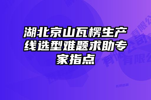 湖北京山瓦楞生產(chǎn)線選型難題求助專(zhuān)家指點(diǎn)