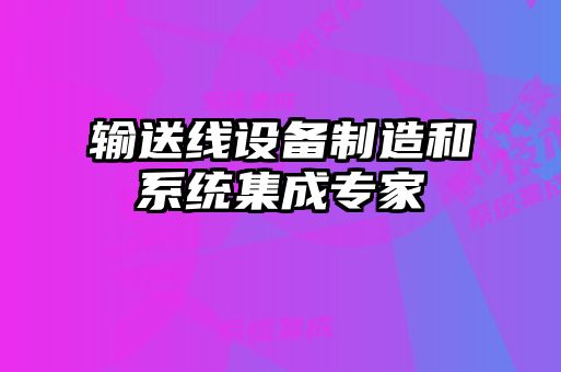 輸送線設(shè)備制造和系統(tǒng)集成專(zhuān)家