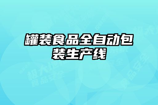 罐裝食品全自動(dòng)包裝生產(chǎn)線(xiàn)